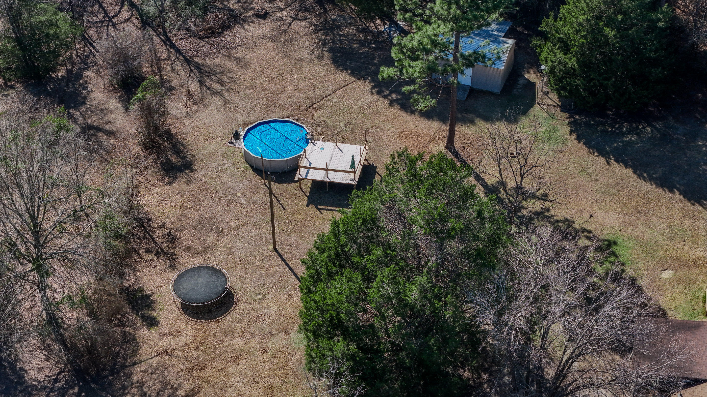 4383 Glen Chambers Road Florala, AL 36442 - Photo 40 of 48 a view of a area with trees