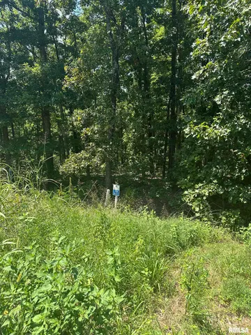 $45,000 | 0 Hawthorn Point, Goreville, IL 62939