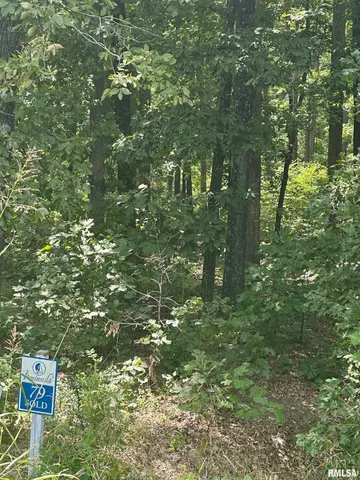 $45,000 | 0 Hawthorn Point, Goreville, IL 62939