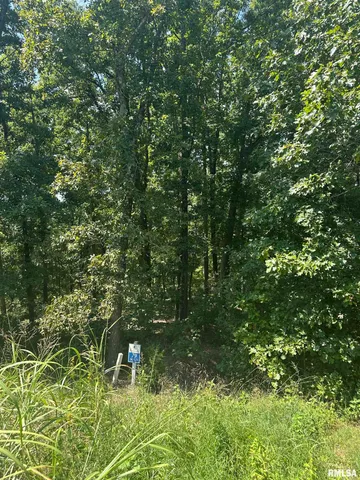 $45,000 | 0 Hawthorn Point, Goreville, IL 62939