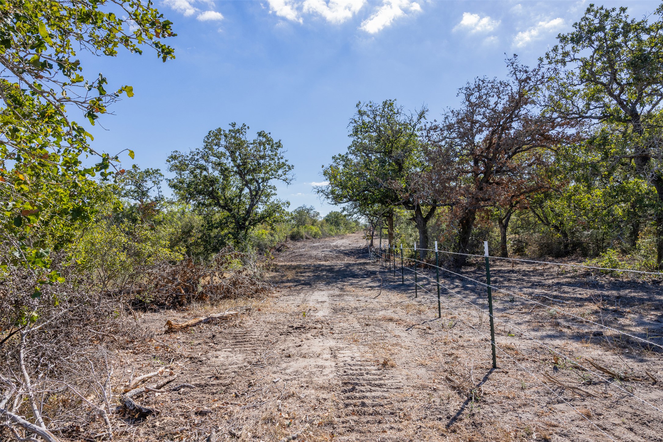 Lot 7 County Road 211 Smiley, TX 78159 - Photo 3 of 16 a backyard of a house with lots of green space