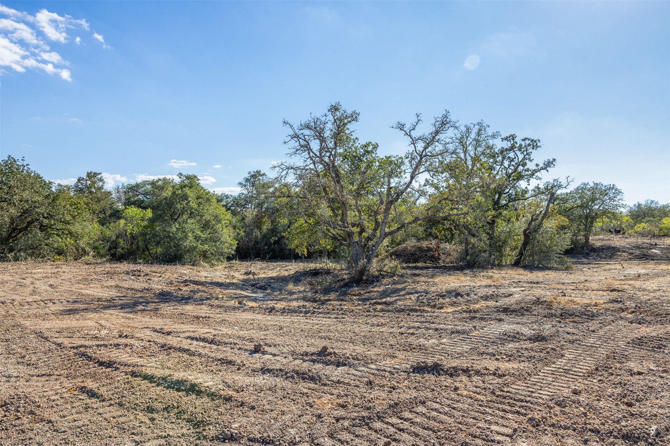 Lot 7 County Road 211 Smiley, TX 78159 - Photo 7 of 16 a view of a dirt road with trees