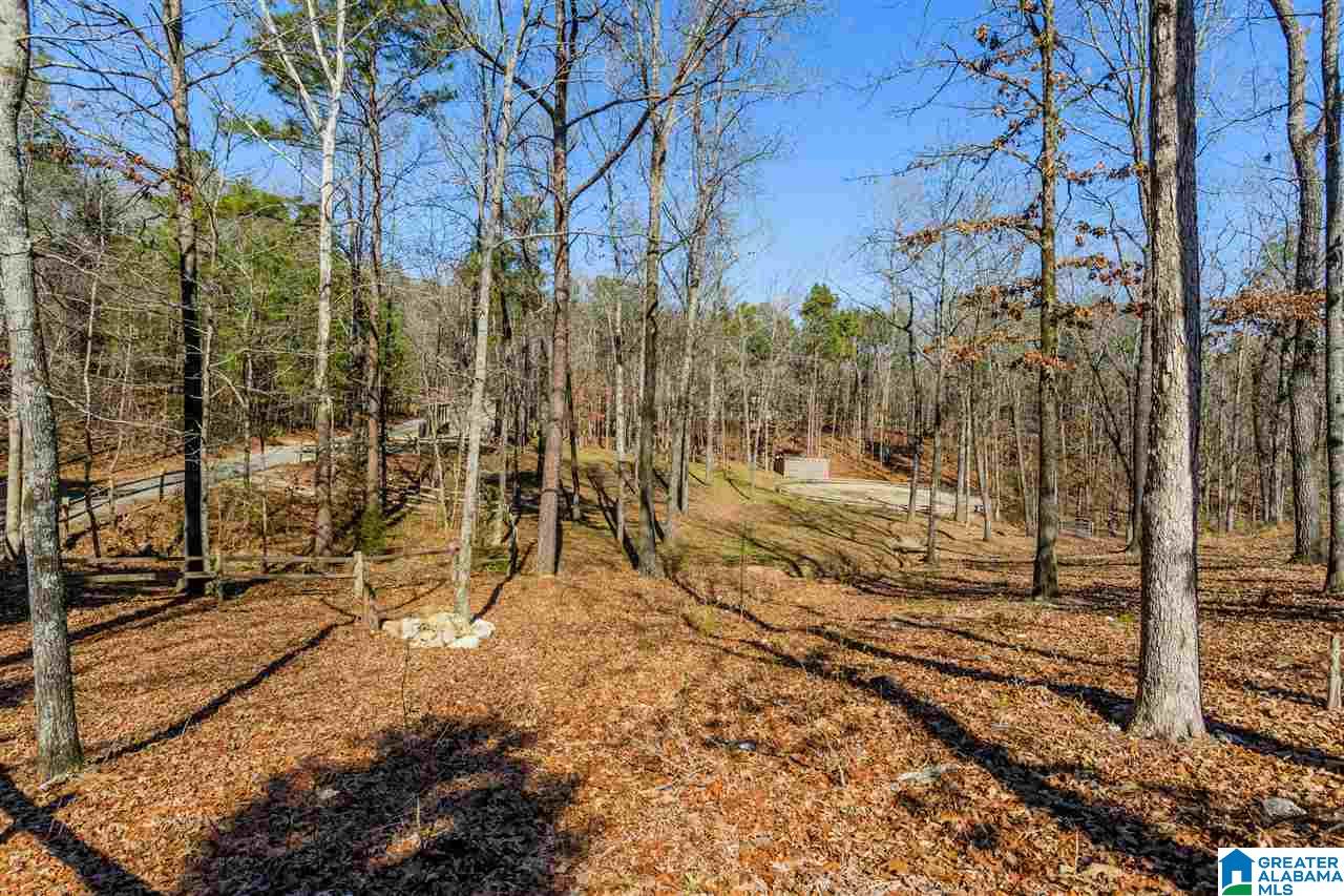 3215 Mountain Ridge Circle, Unit 4 2 Birmingham, AL 35242 - Photo 14 of 18