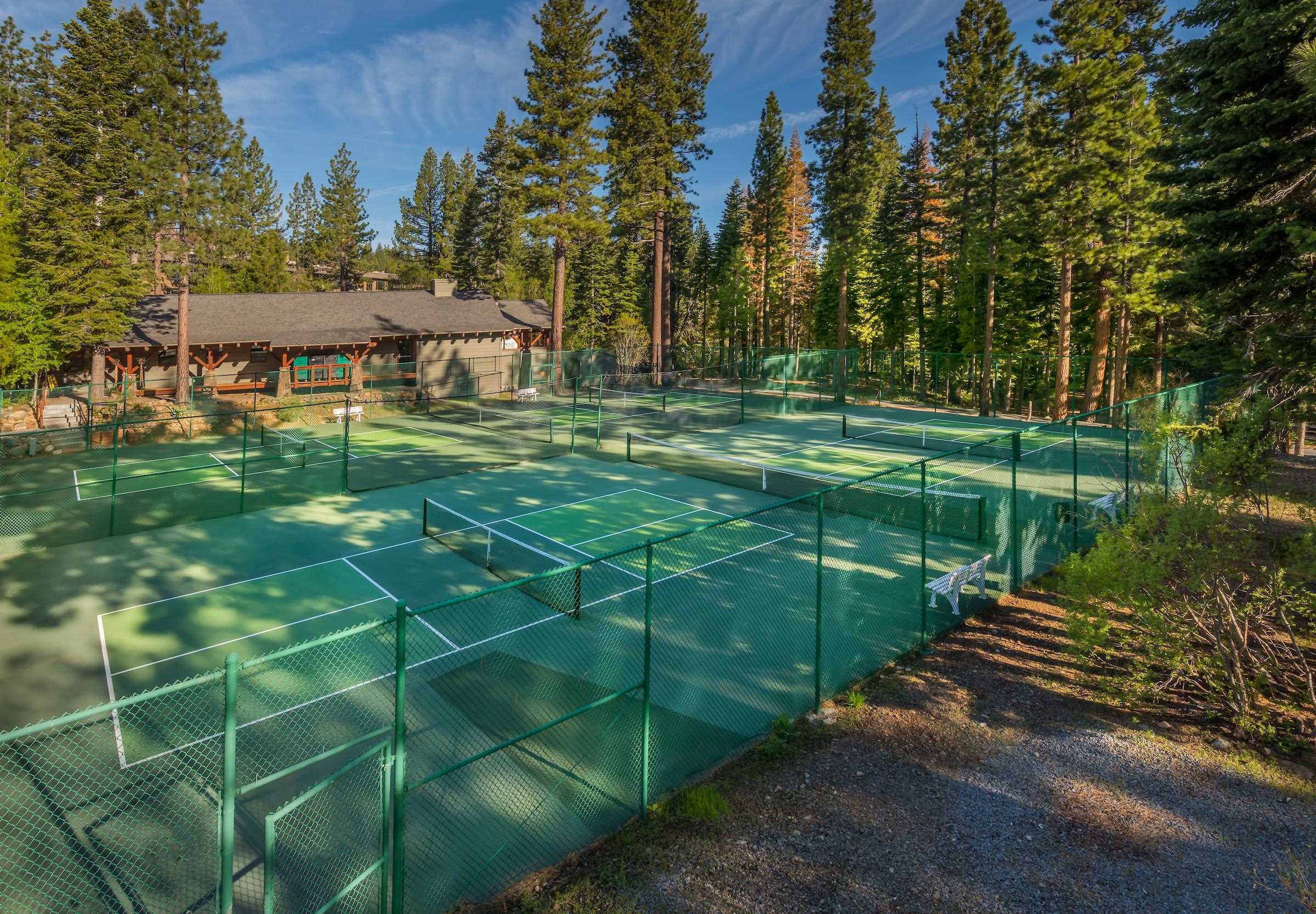 1502 Logging Trail Truckee, CA 96161 - Photo 20 of 21 a view of a garden