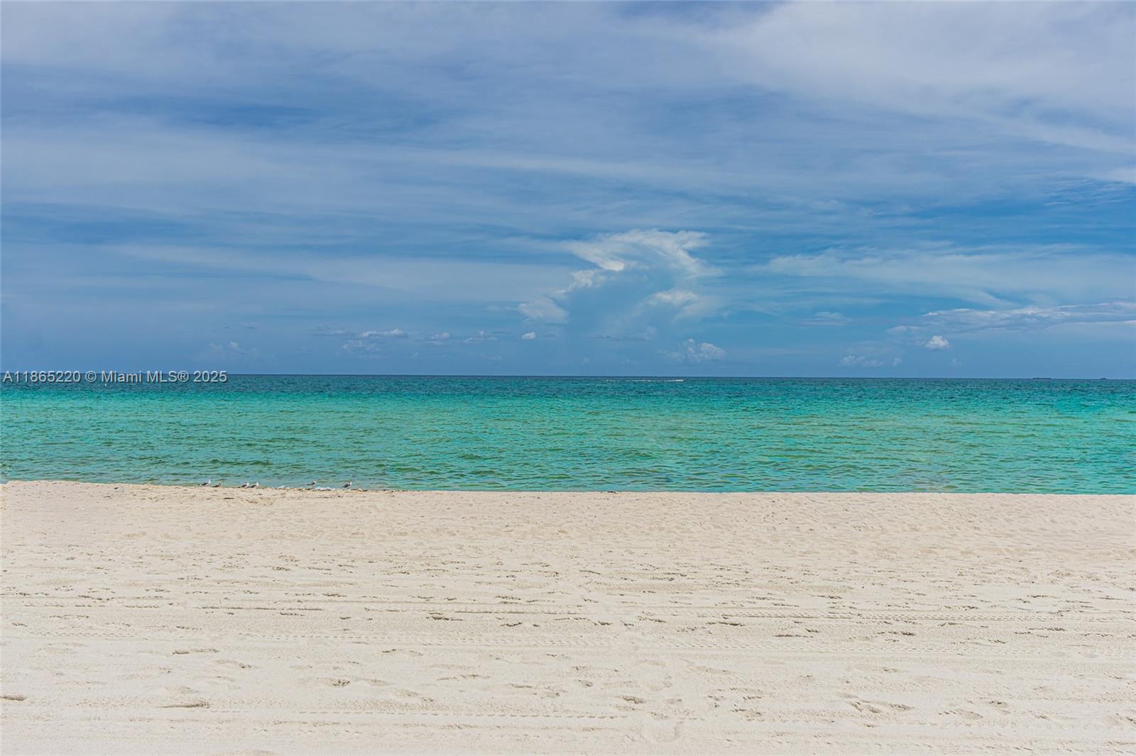 5445 Collins Avenue, Unit P2 Miami Beach, FL 33140 - Photo 41 of 62 a view of a beach and an ocean beach