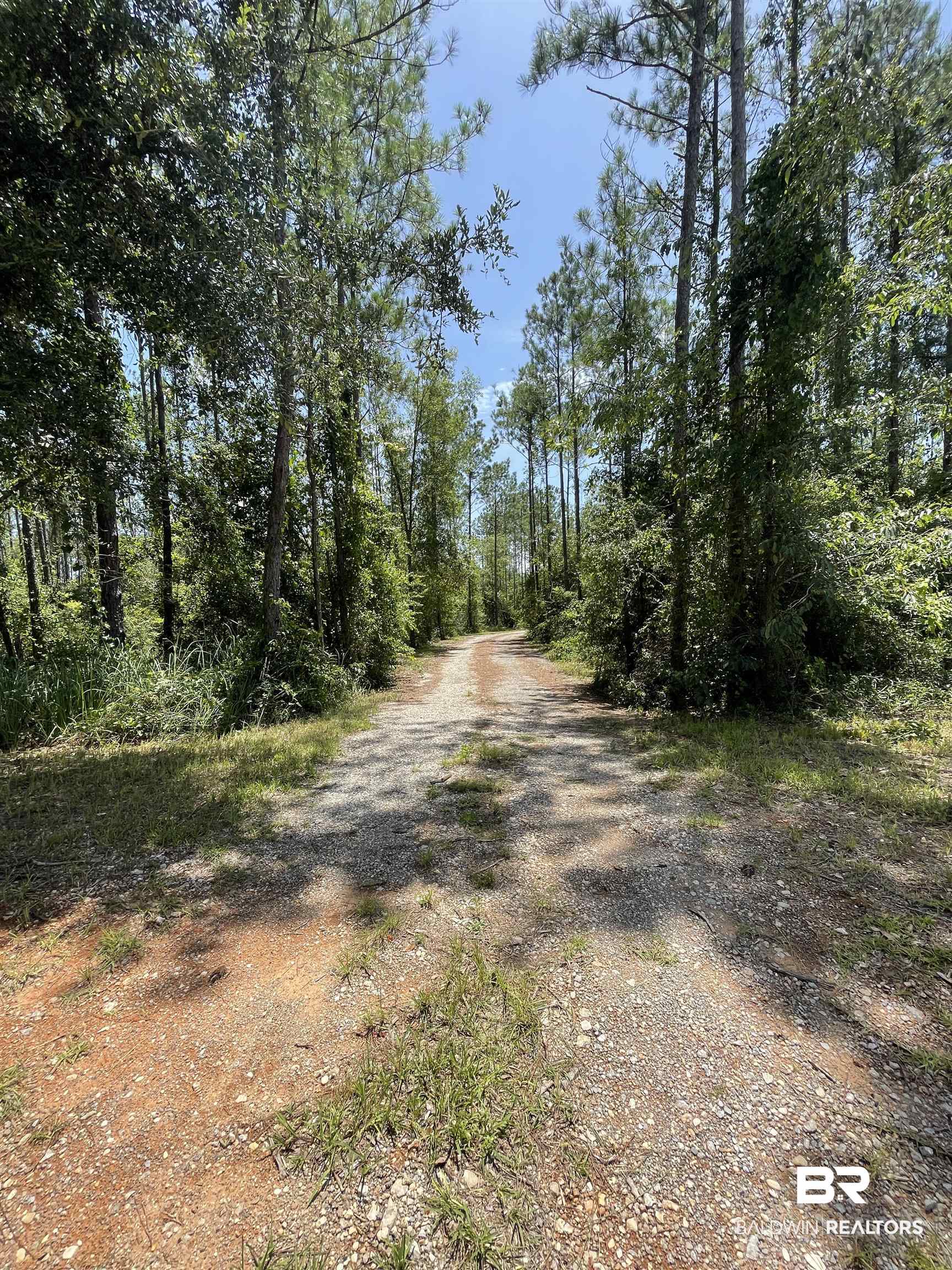 18676 Greek Cemetery Road Robertsdale, AL 36567 - Photo 11 of 12