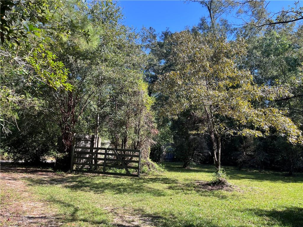 15124 Thompson Road Folsom, LA 70437 - Photo 19 of 26