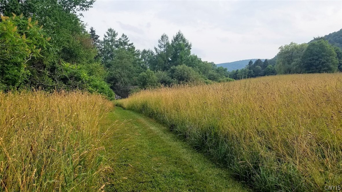 1720 County Route 12 De Ruyter, NY 13052 - Photo 39 of 49
