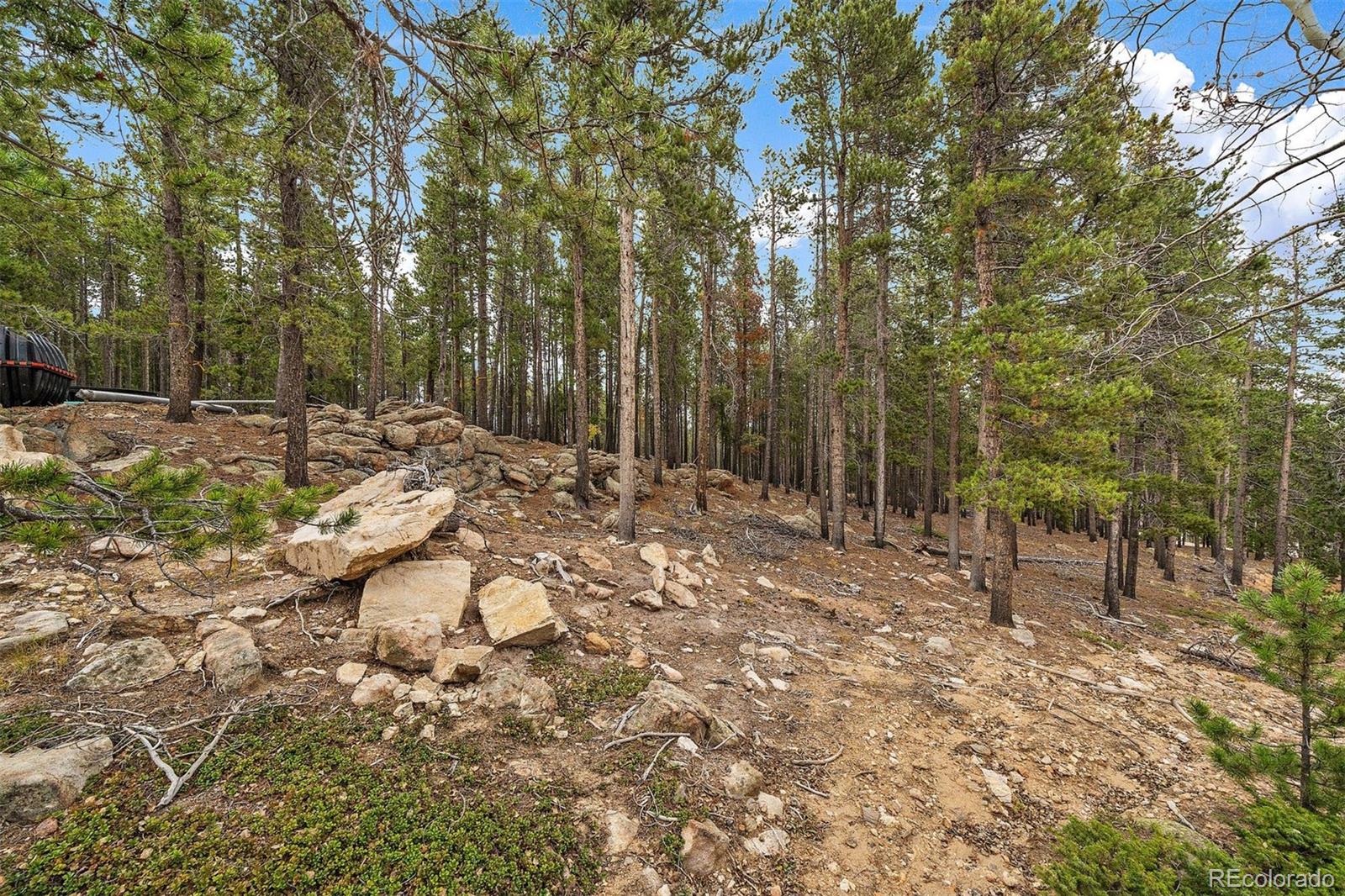 309 Ouray Road Evergreen, CO 80439 - Photo 8 of 14 Gallery Image 8
