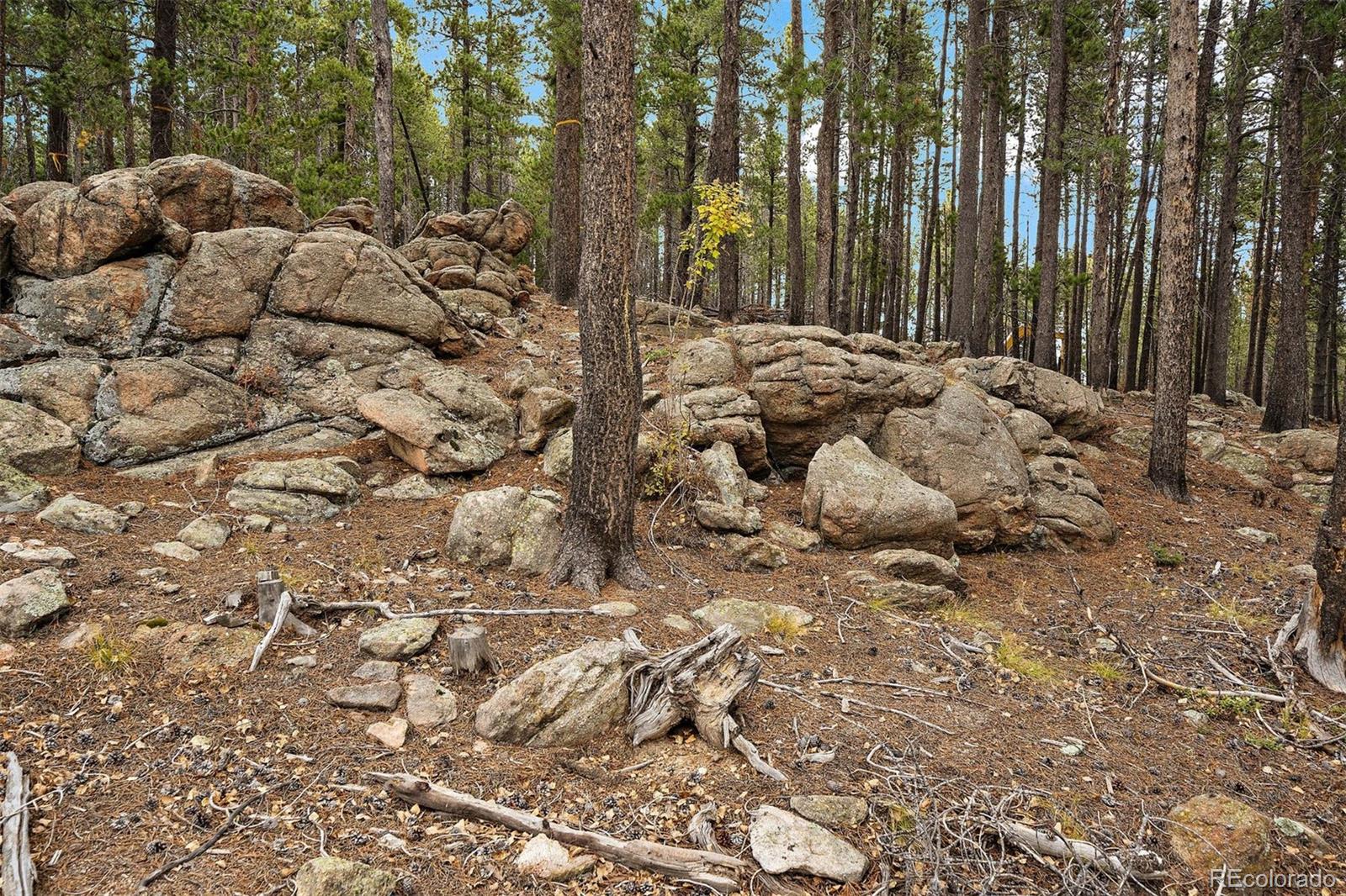 309 Ouray Road Evergreen, CO 80439 - Photo 9 of 14 Gallery Image 9