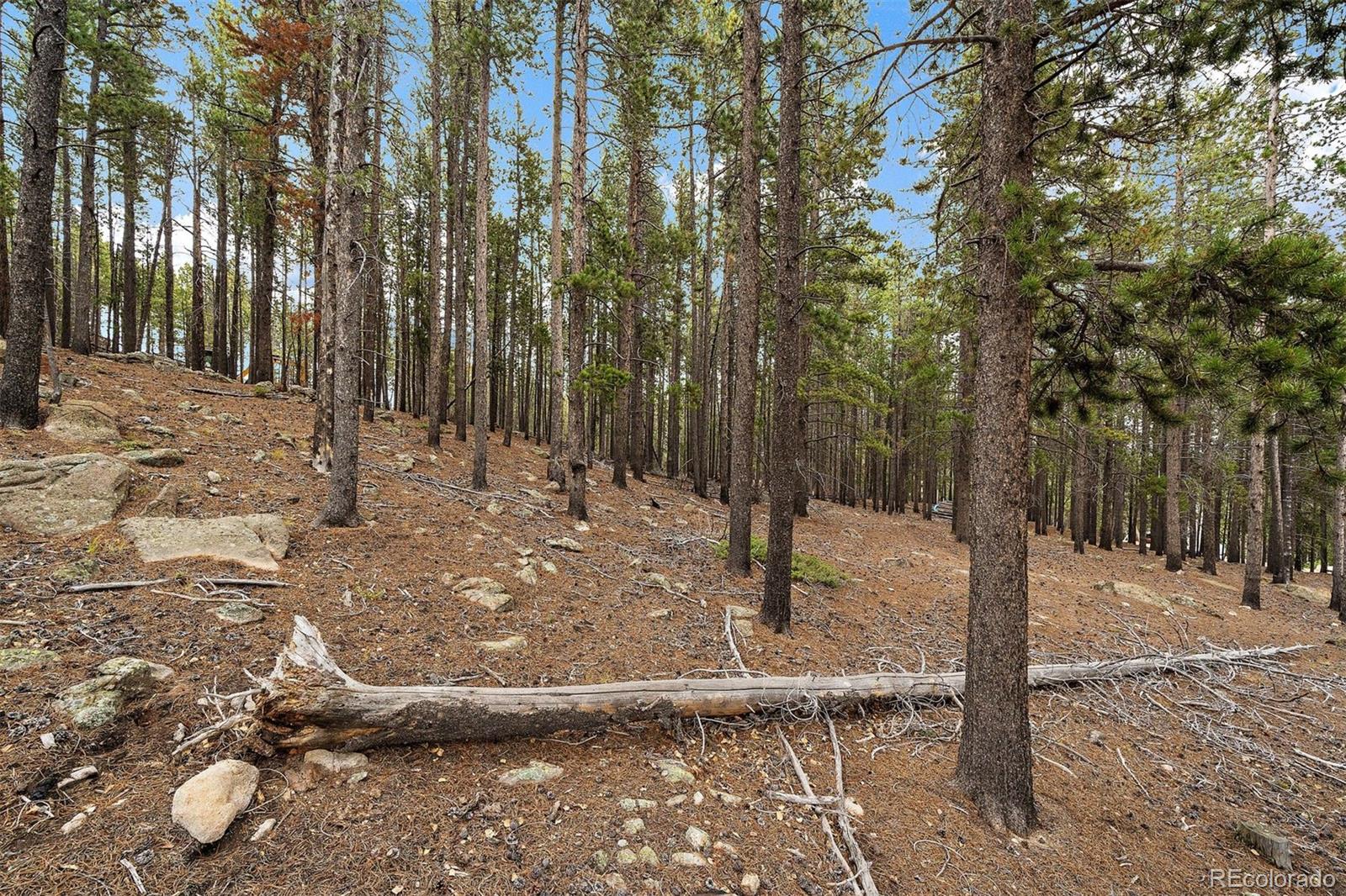309 Ouray Road Evergreen, CO 80439 - Photo 10 of 14 Gallery Image 10
