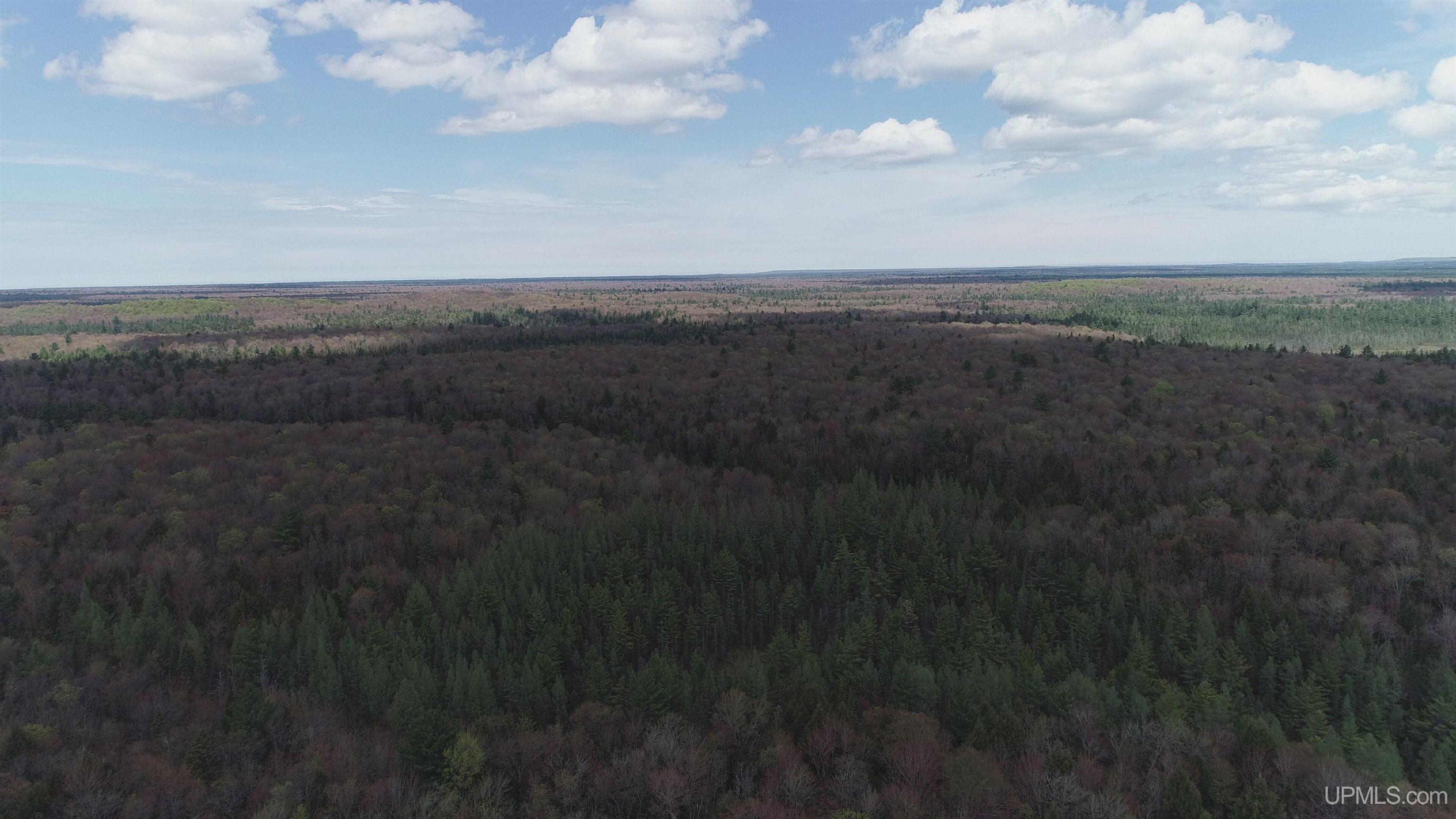 450 Rd Seney Mi 49883 Road Seney, MI 49883 - Photo 31 of 33