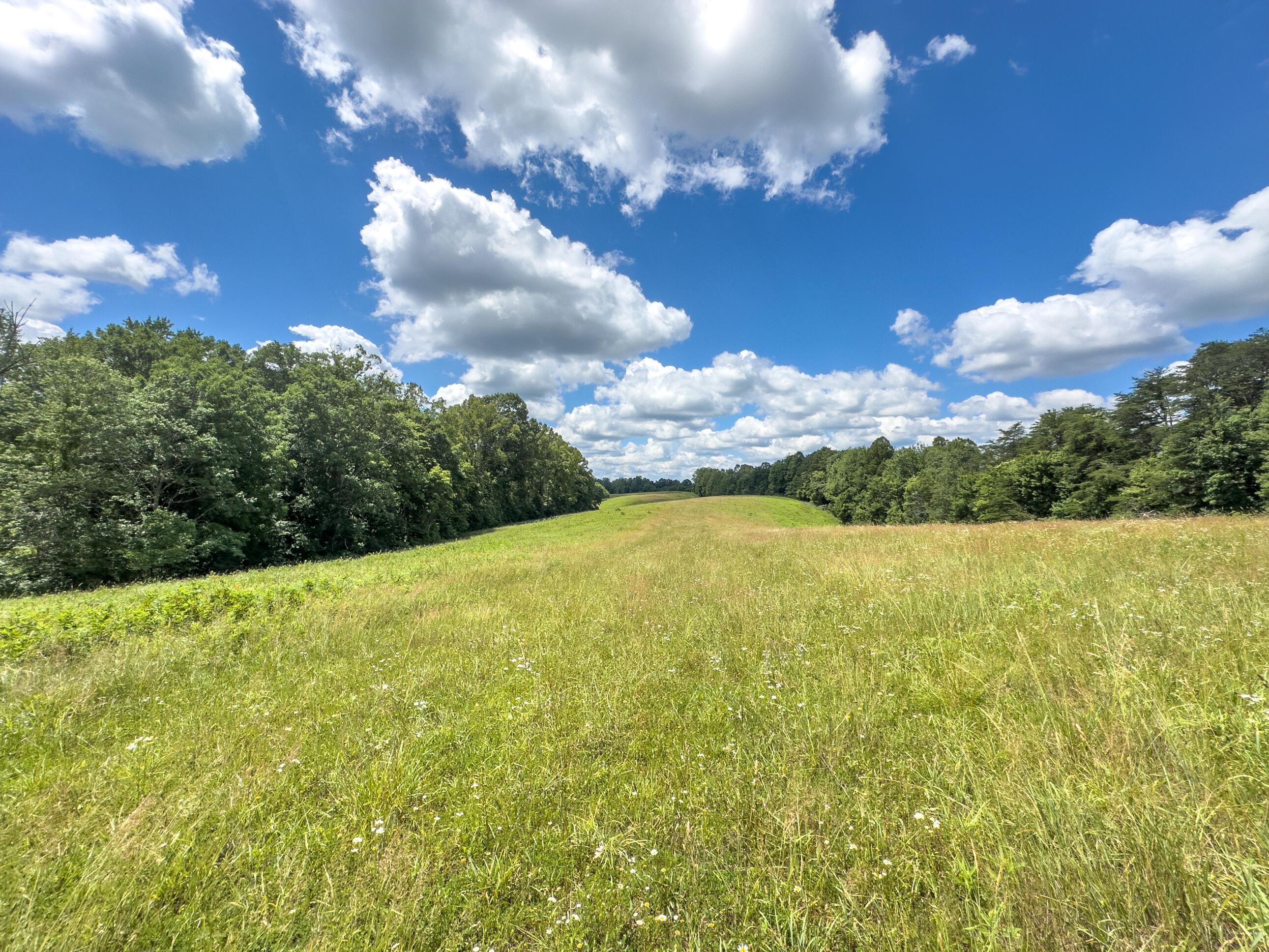 0 Kalklosch Road Logan, OH 43138 - Photo 14 of 20 Kalklosch Rd; 81 ac-3-9