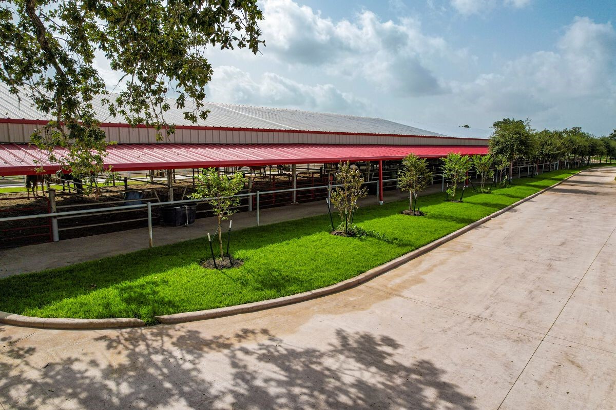 1331 East Parker Road Muldoon, TX 78949 - Photo 7 of 12 a view of a park with large trees