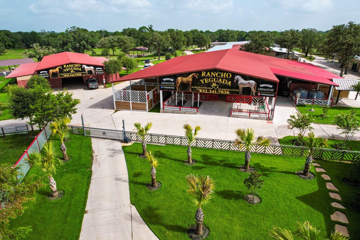 1331 East Parker Road Muldoon, TX 78949 - Photo 8 of 12