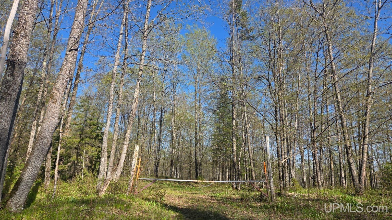 Tbd County Line Road Hermansville, MI 49847 - Photo 8 of 20