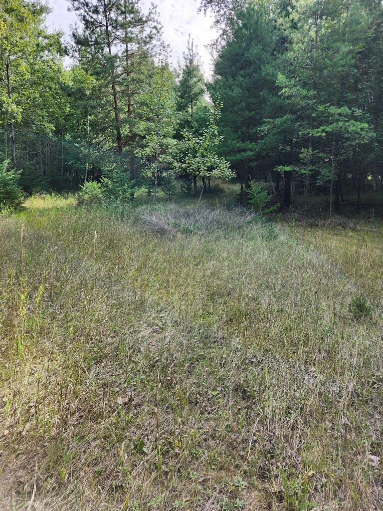 Tbd Lakeview Road Washington Island, WI 54246 - Photo 3 of 4 Gallery Image 3