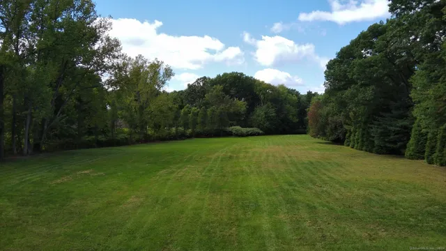 a view of yard with green space
