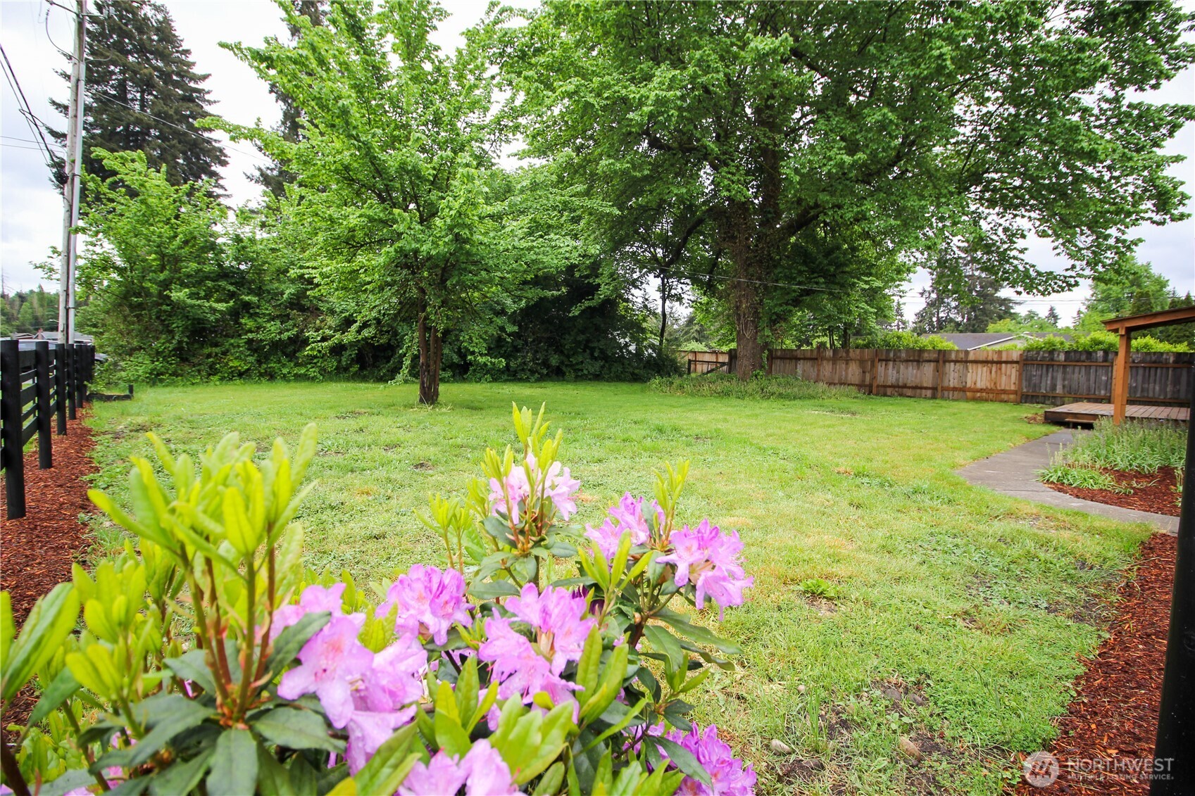 10341 184th Avenue Southwest Rochester, WA 98579 - Photo 18 of 36 a view of a garden with plants and large trees