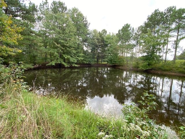 311 Rabbit Trail Road Leoma, TN 38468 - Photo 4 of 23 a view of lake with green space