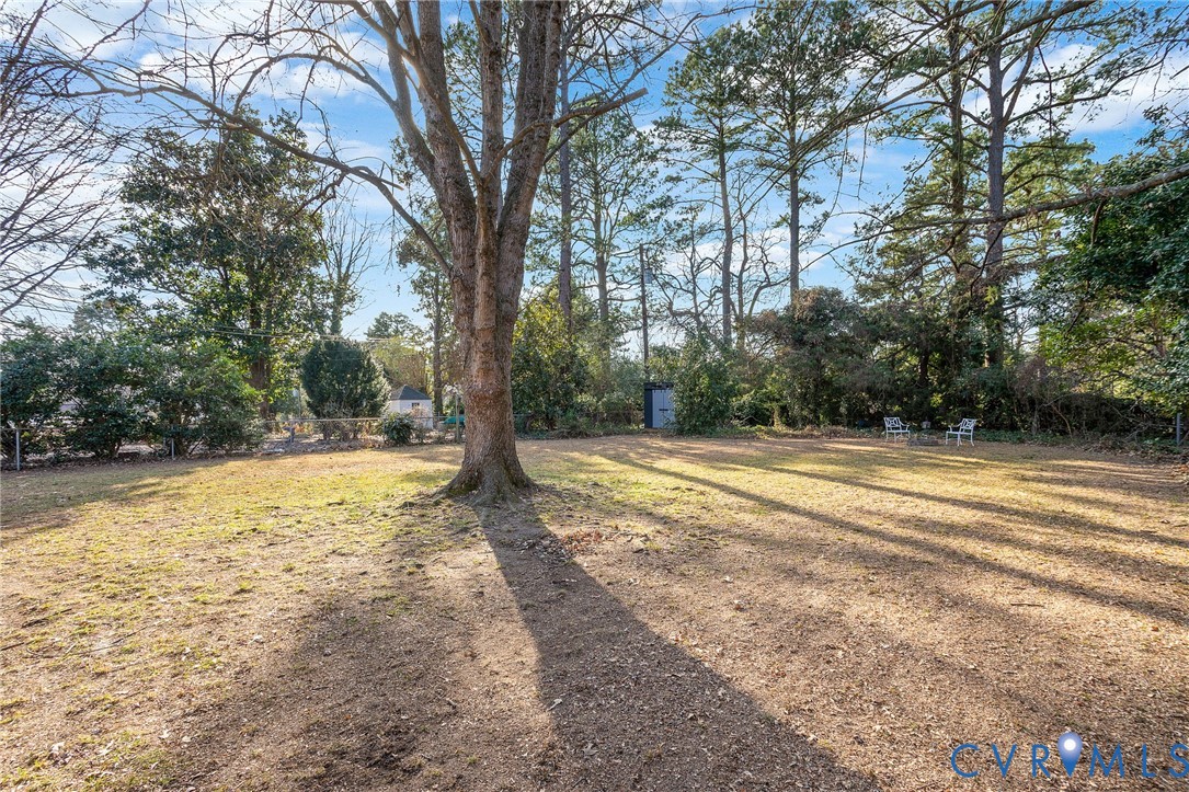 6020 Bonneau Road Richmond, VA 23227 - Photo 27 of 36 a view of a yard with large trees