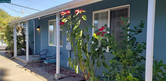 a view of a hallway with wooden floor and a potted plant