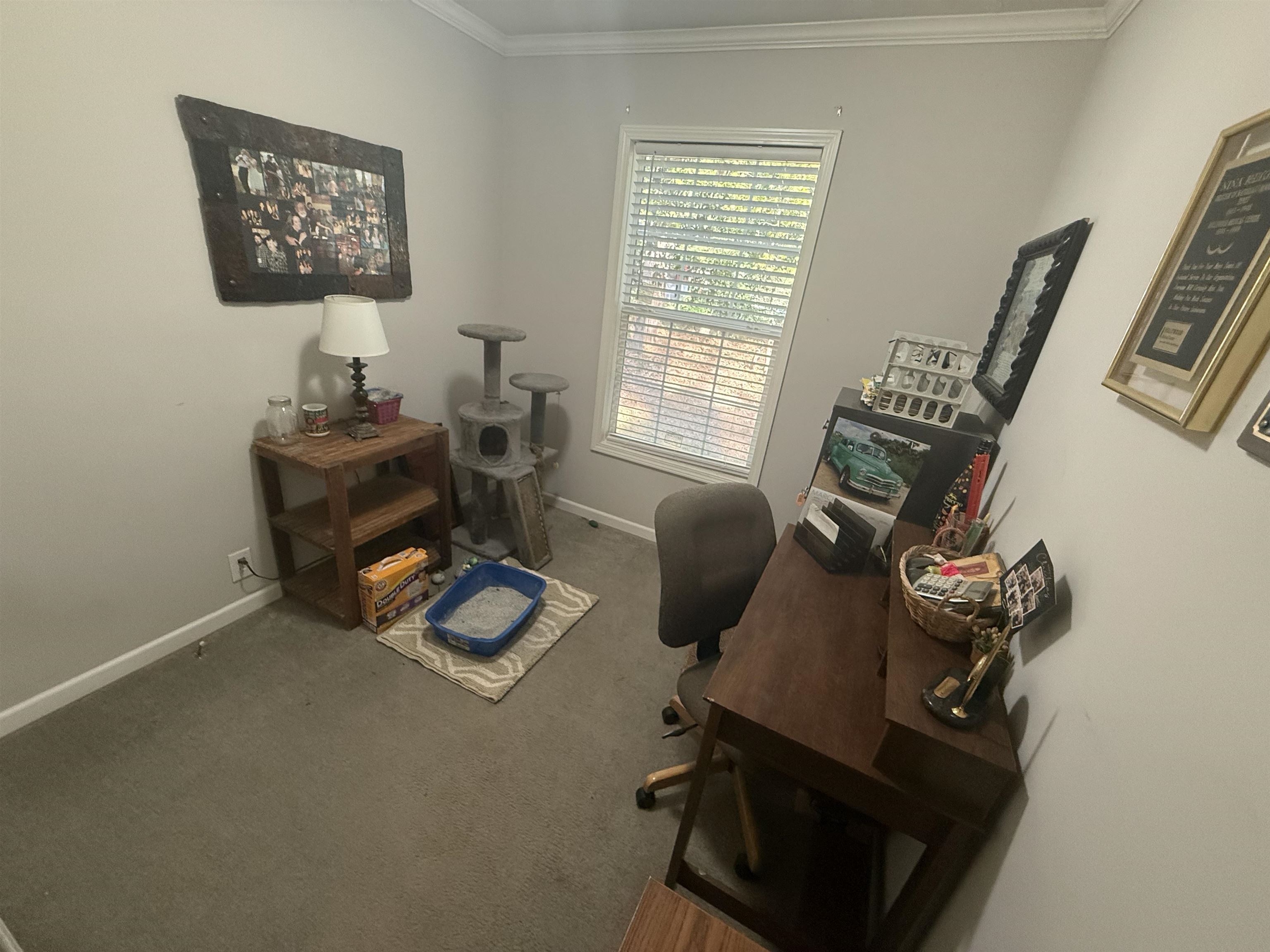 185 Pine Tree Road Moscow, TN 38057 - Photo 23 of 36 Additional content