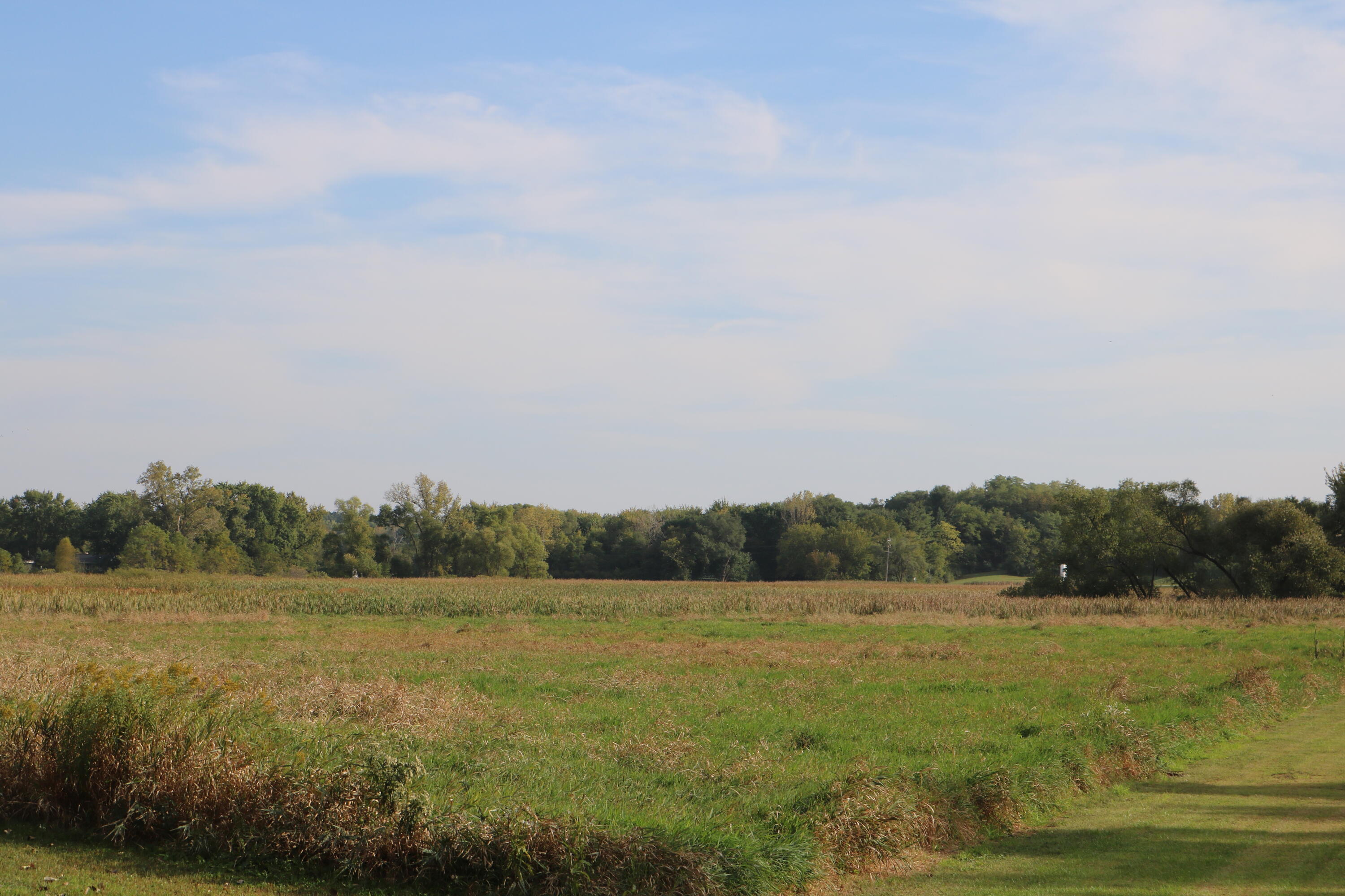 10729 Hanley Street Crown Point, IN 46307 - Photo 11 of 16 3000x2000