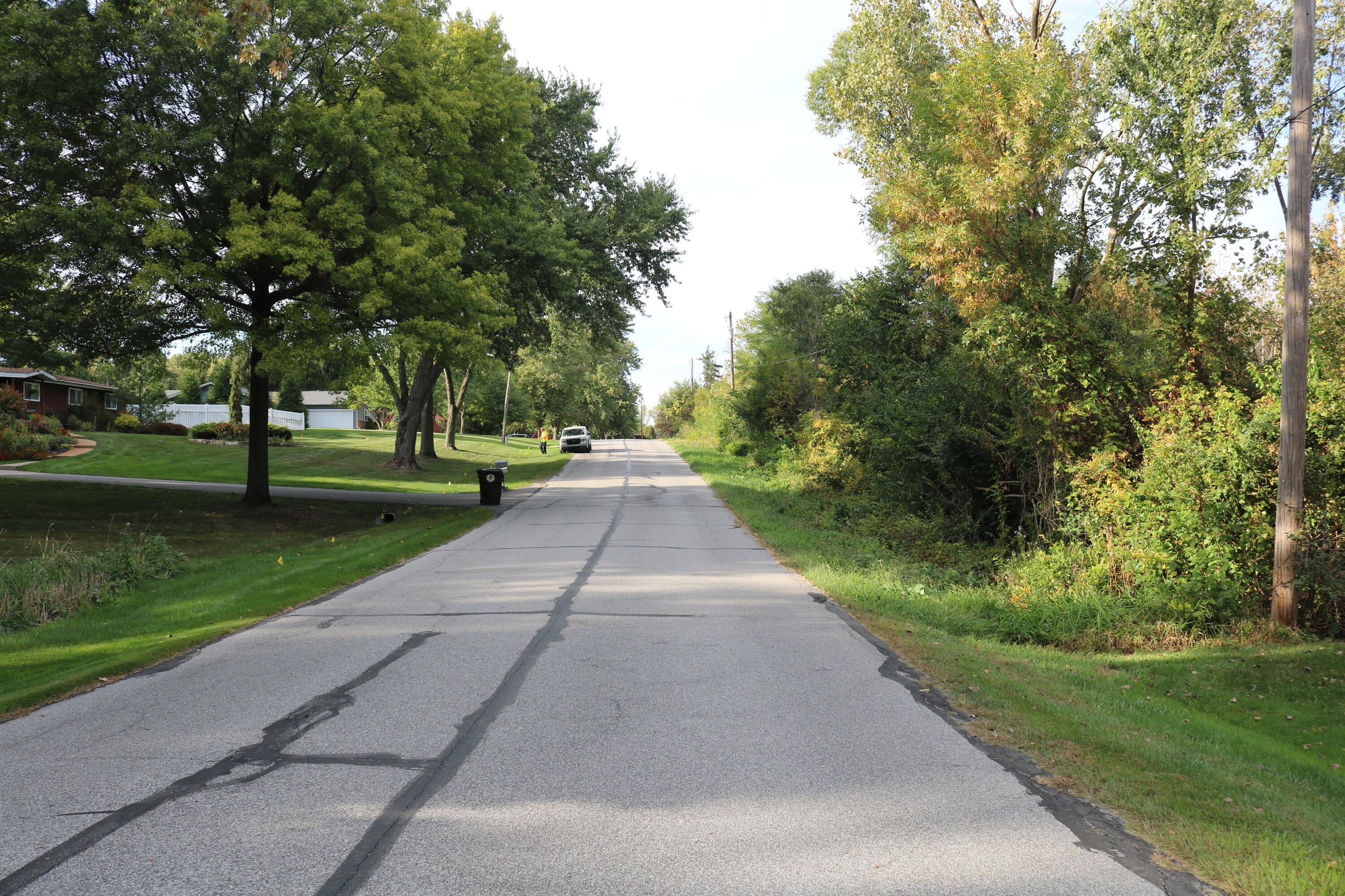 10729 Hanley Street Crown Point, IN 46307 - Photo 15 of 16 3000x2000