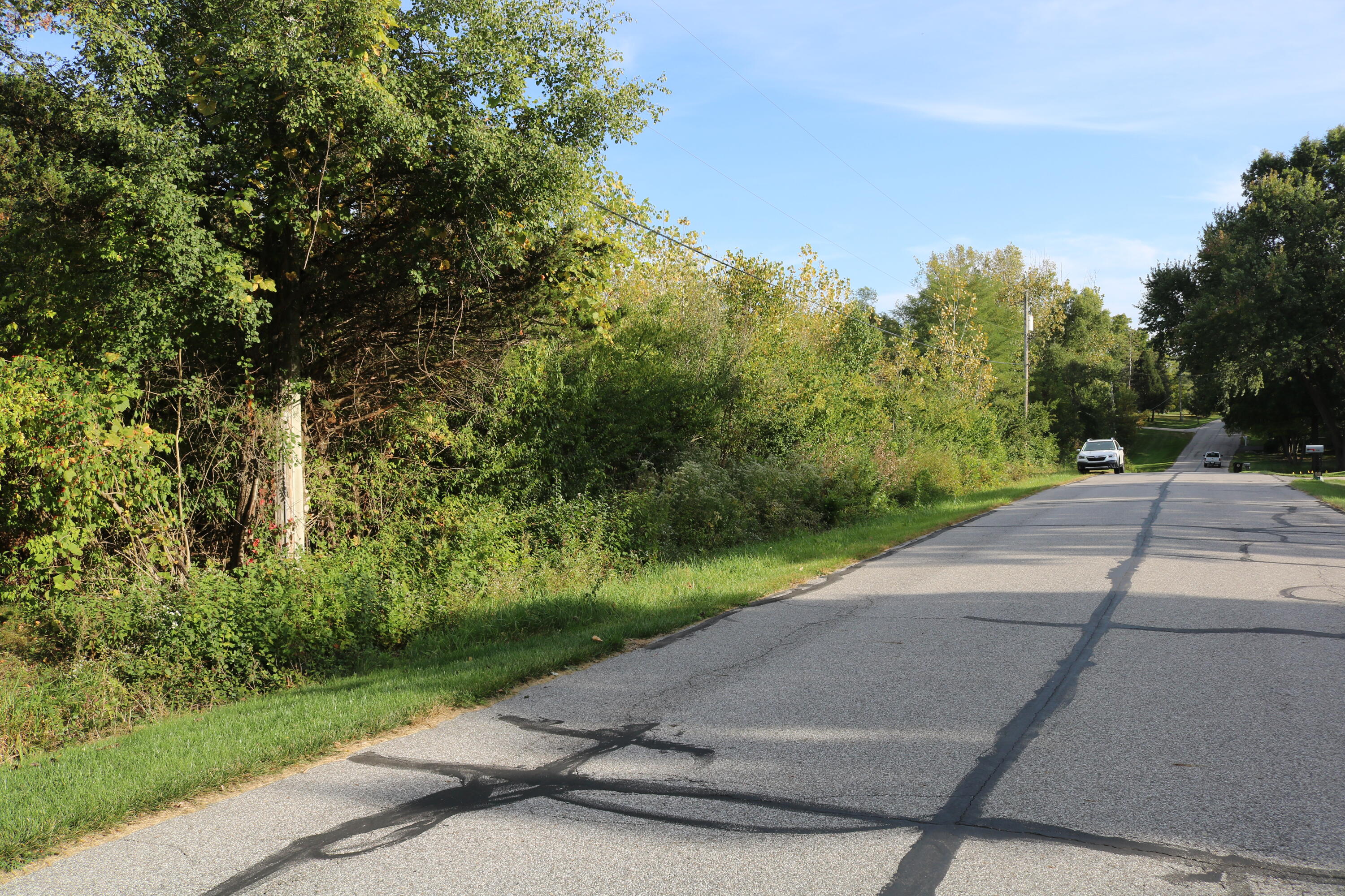 10729 Hanley Street Crown Point, IN 46307 - Photo 2 of 16 3000x2000
