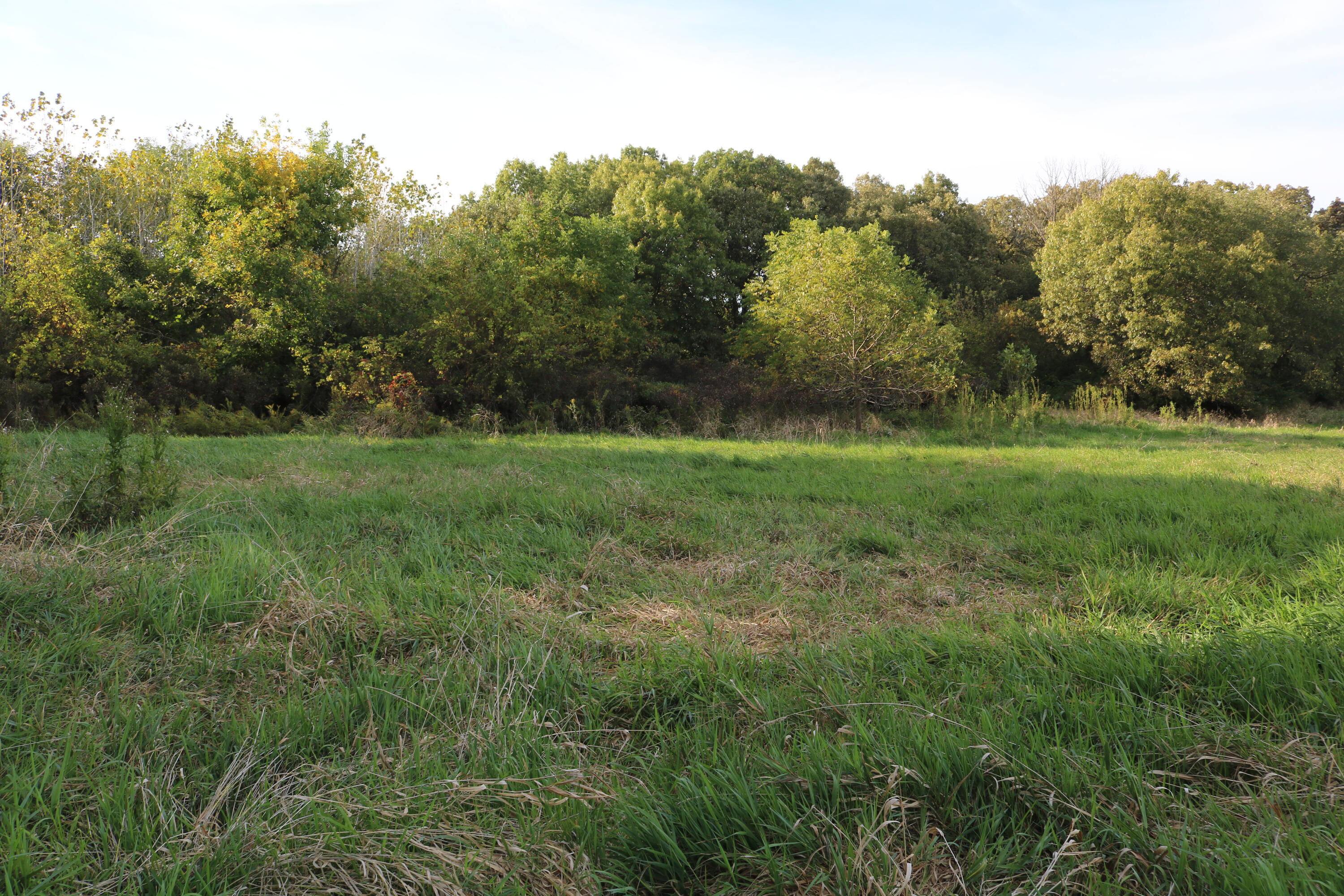 10729 Hanley Street Crown Point, IN 46307 - Photo 4 of 16 3000x2000