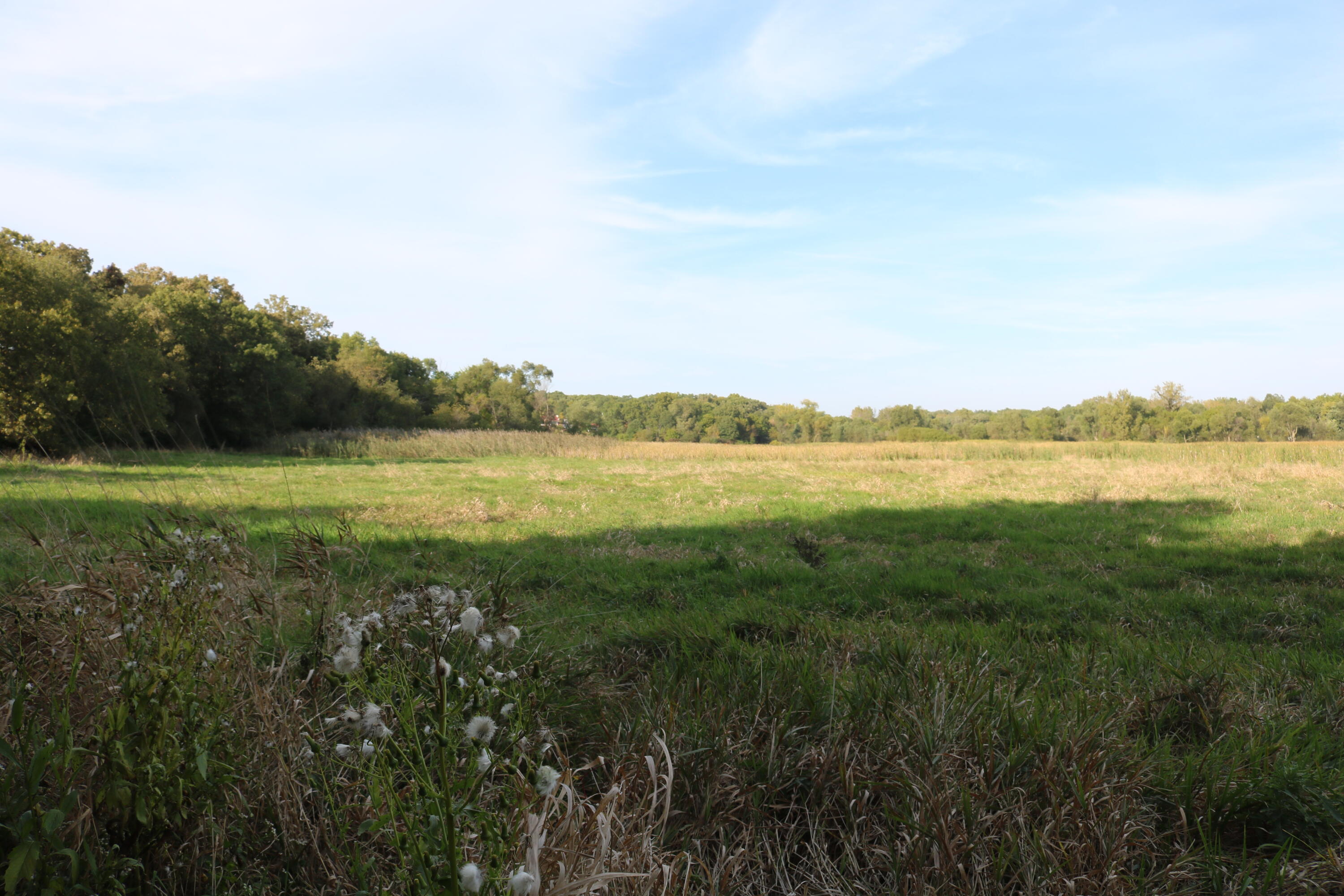 10729 Hanley Street Crown Point, IN 46307 - Photo 6 of 16 3000x2000