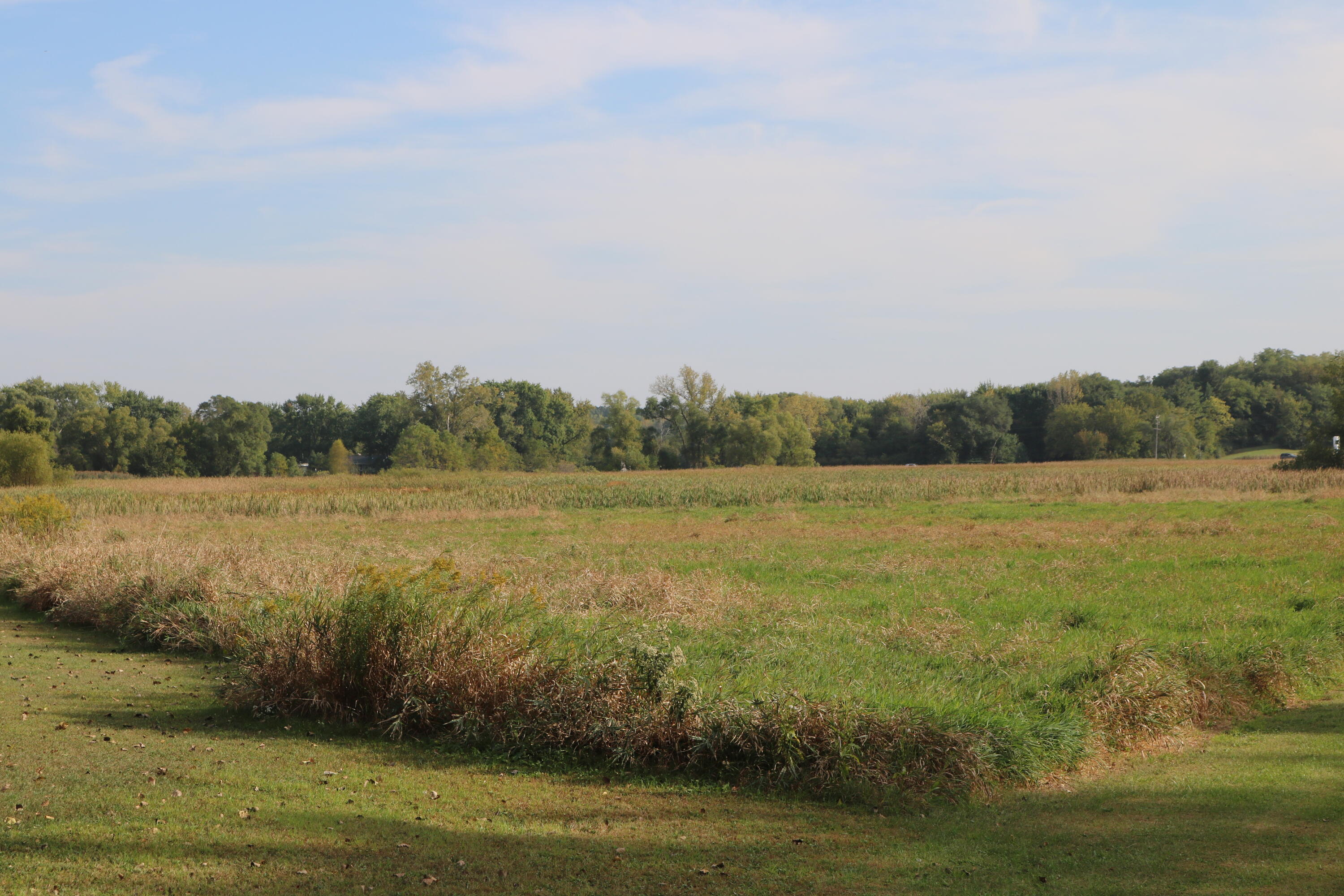 10729 Hanley Street Crown Point, IN 46307 - Photo 10 of 16 3000x2000