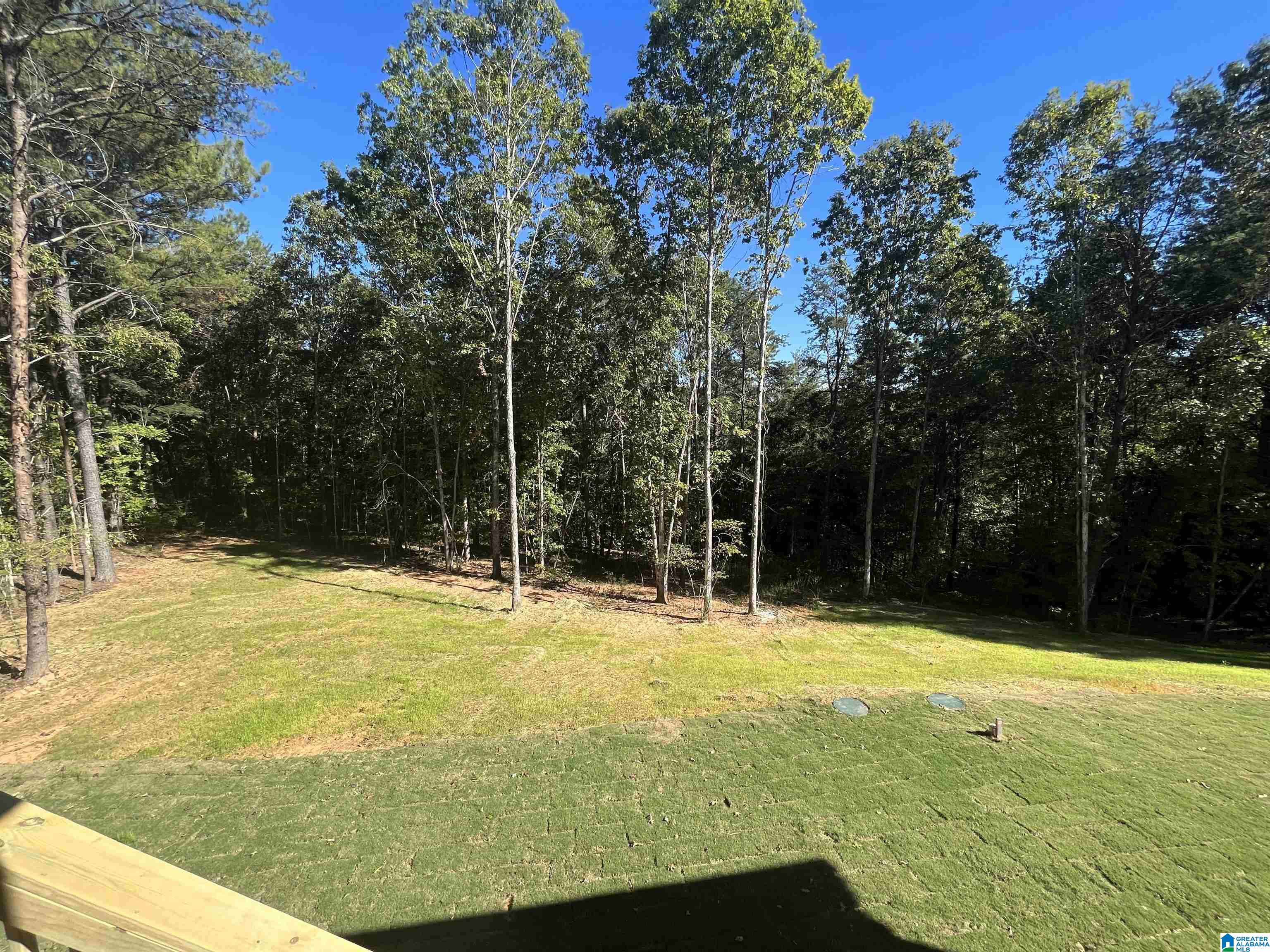 93 Cornerstone Circle Calera, AL 35040 - Photo 10 of 29