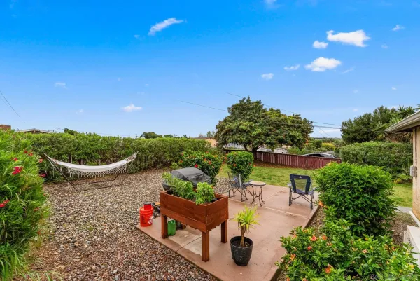 a view of a backyard with plants and a garden