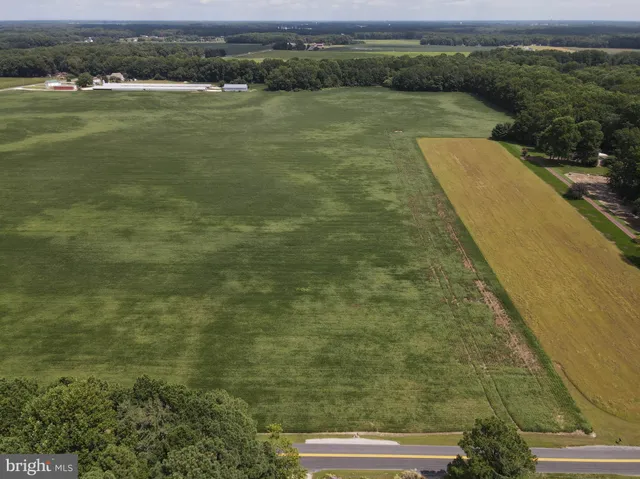 a view of a lake with a mountain