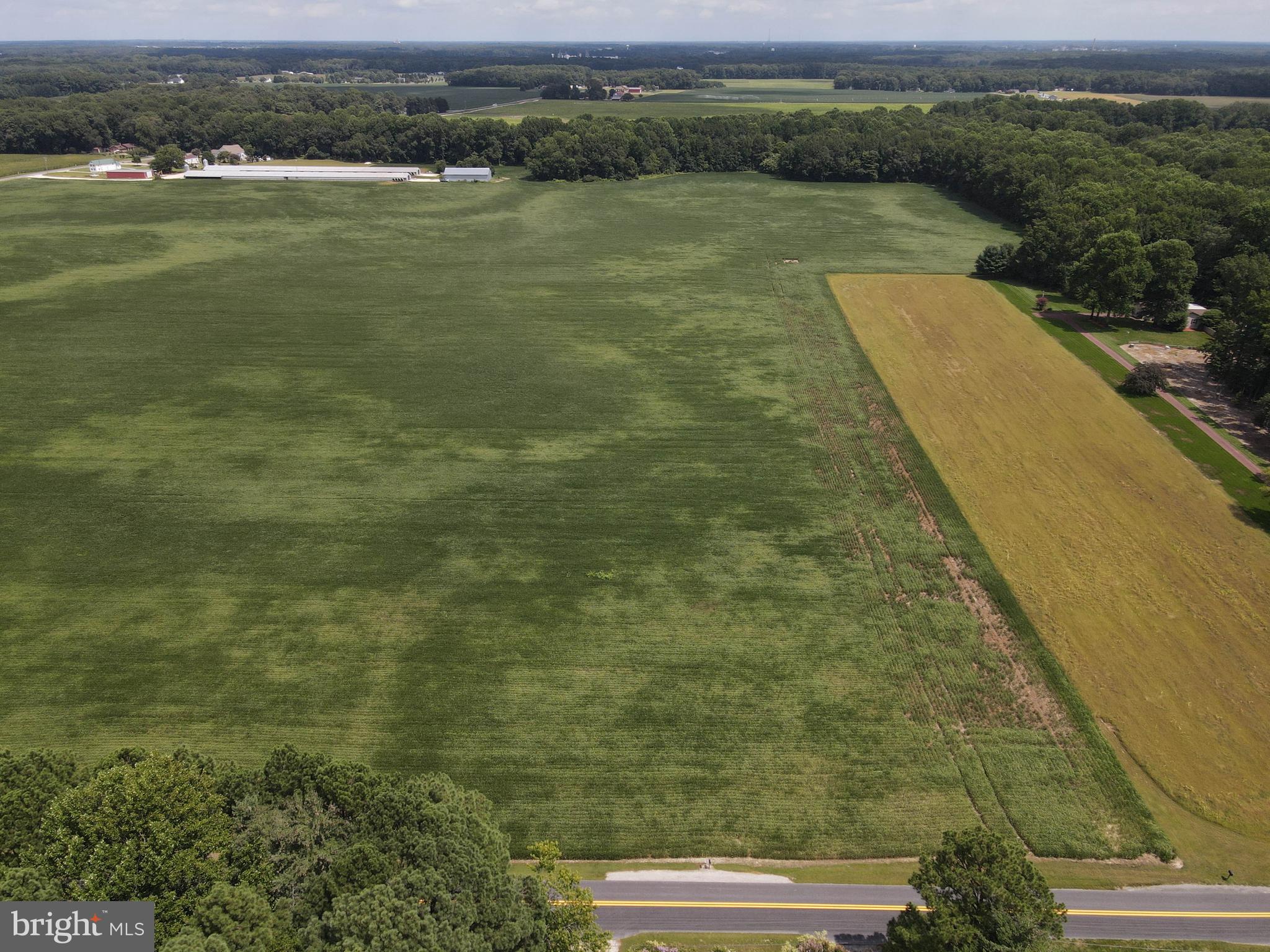 Lot 5 Woodland Ferry Road Seaford, DE 19973 - Photo 3 of 6 a view of a lake with a mountain
