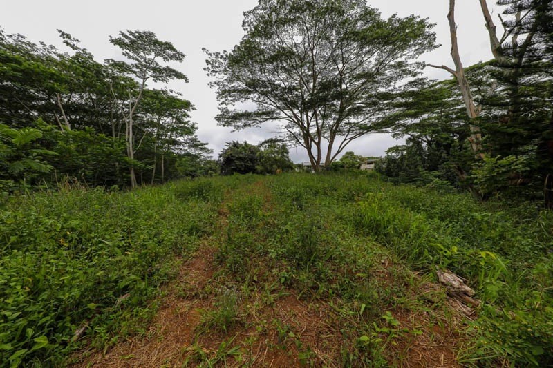 37 Omao Road Koloa, HI 96756 - Photo 25 of 29