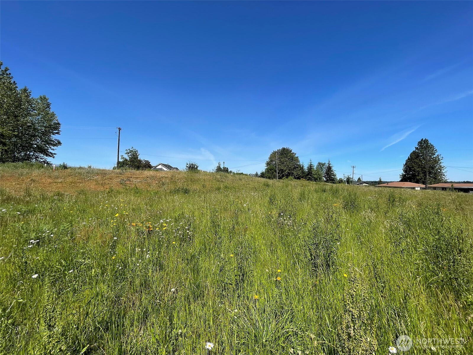 862 South Still Road Sequim, WA 98382 - Photo 11 of 15 a view of a field with an ocean