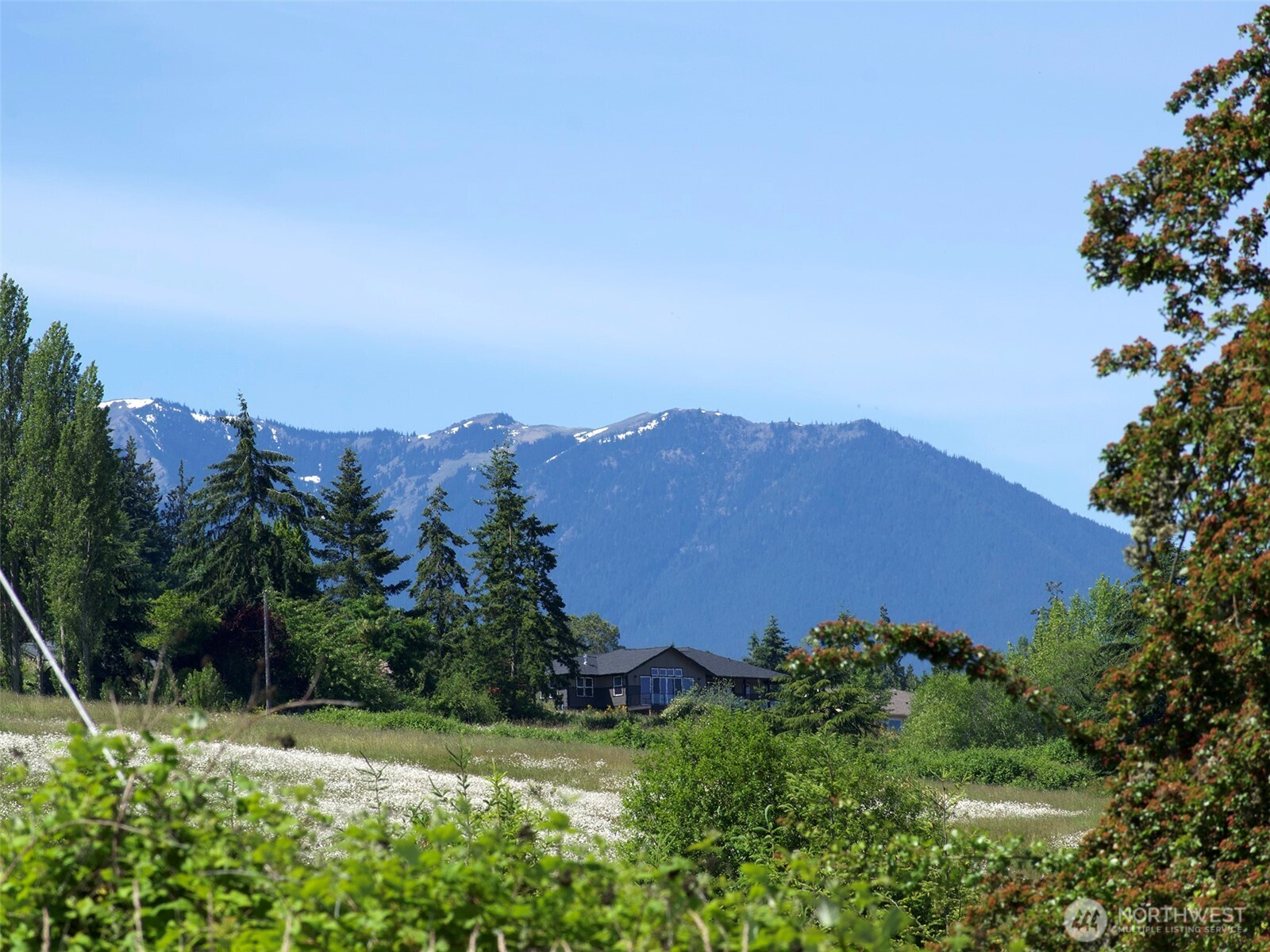 862 South Still Road Sequim, WA 98382 - Photo 6 of 15 a view of a lush green field with lots of bushes