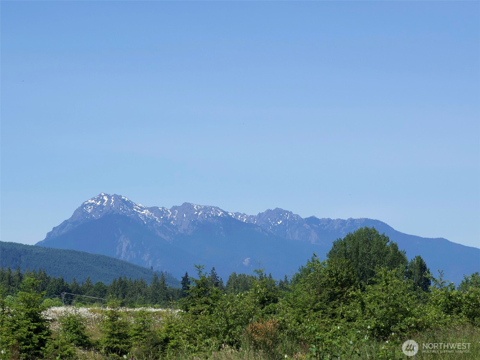 862 South Still Road Sequim, WA 98382 - Photo 7 of 15 a view of a lush green hillside and a houses