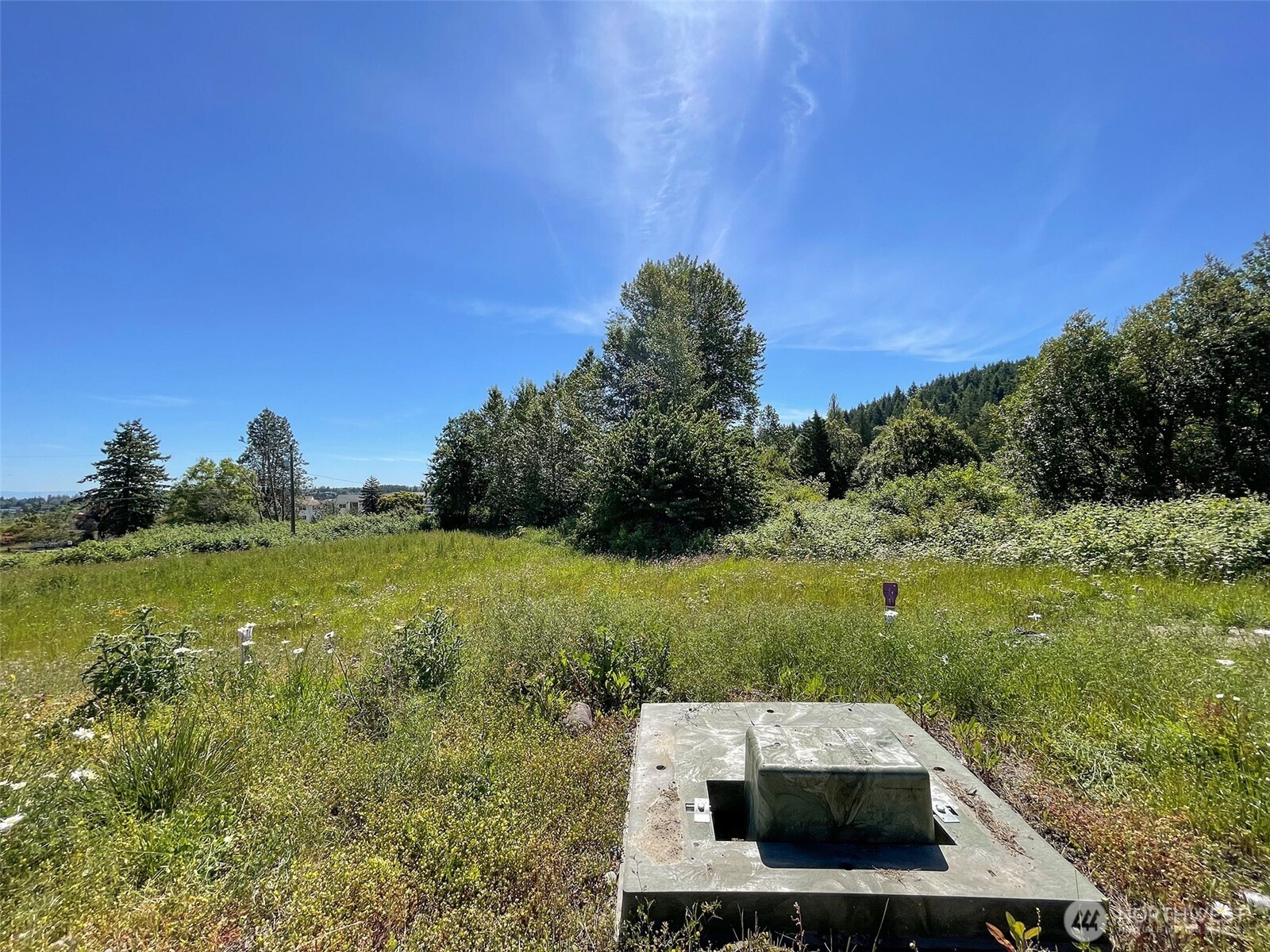 862 South Still Road Sequim, WA 98382 - Photo 10 of 15 a view of a back yard