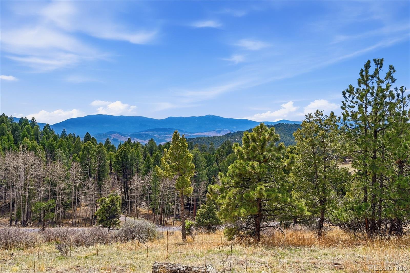 13108 Elsie Road Conifer, CO 80433 - Photo 3 of 49 Gallery Image 3