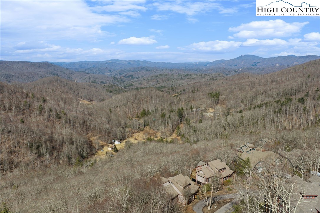 660 Ridge Haven Parkway, Unit 660 Banner Elk, NC 28604 - Photo 47 of 49