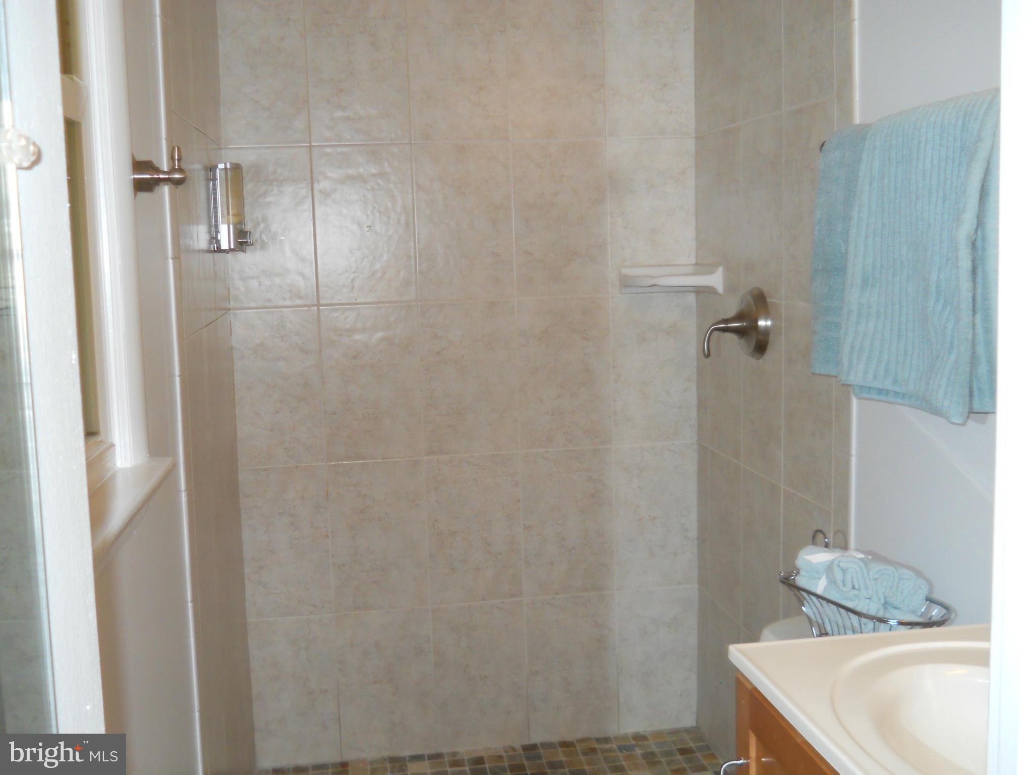 13145 Clifton Road Silver Spring, MD 20904 - Photo 17 of 30 a bathroom with a sink and shower