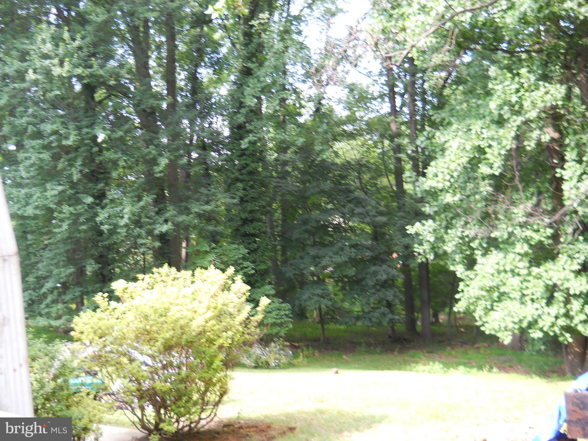 13145 Clifton Road Silver Spring, MD 20904 - Photo 30 of 30 a view of a yard with a tree