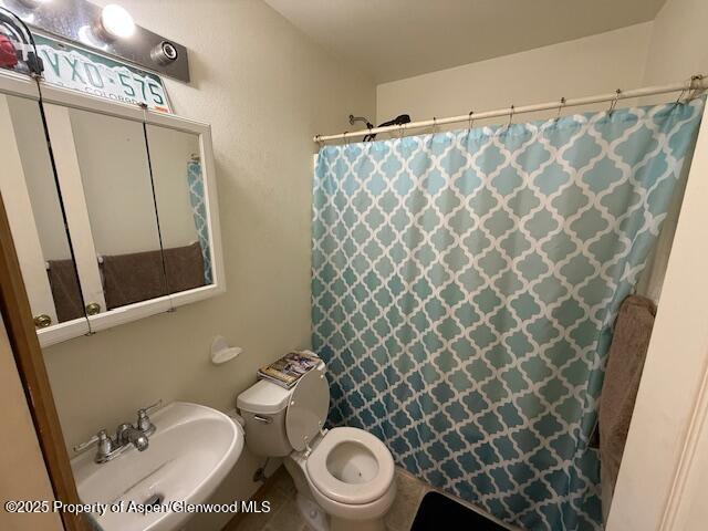 1333 East Victory Way Craig, CO 81625 - Photo 6 of 8 a bathroom with a toilet and a shower curtain