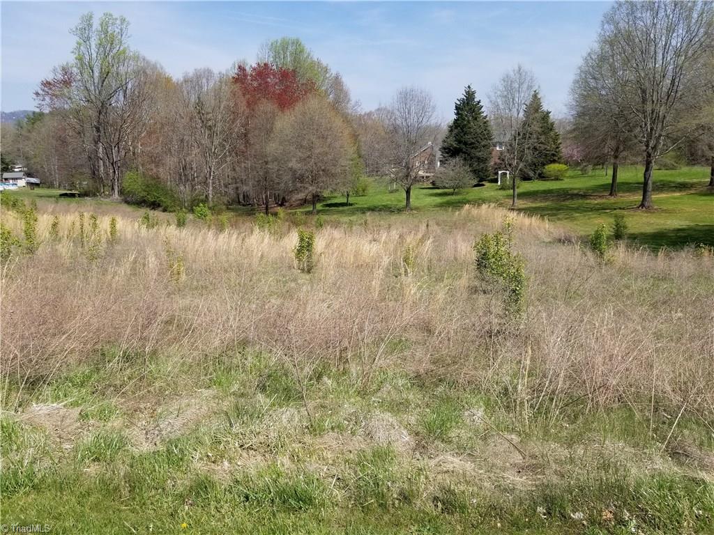 Xx Lot 2 Chestnut Grove Road King, NC 27021 - Photo 1 of 4