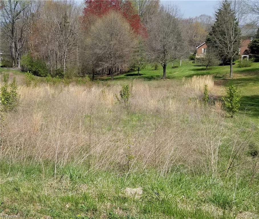 Xx Lot 2 Chestnut Grove Road King, NC 27021 - Photo 3 of 4