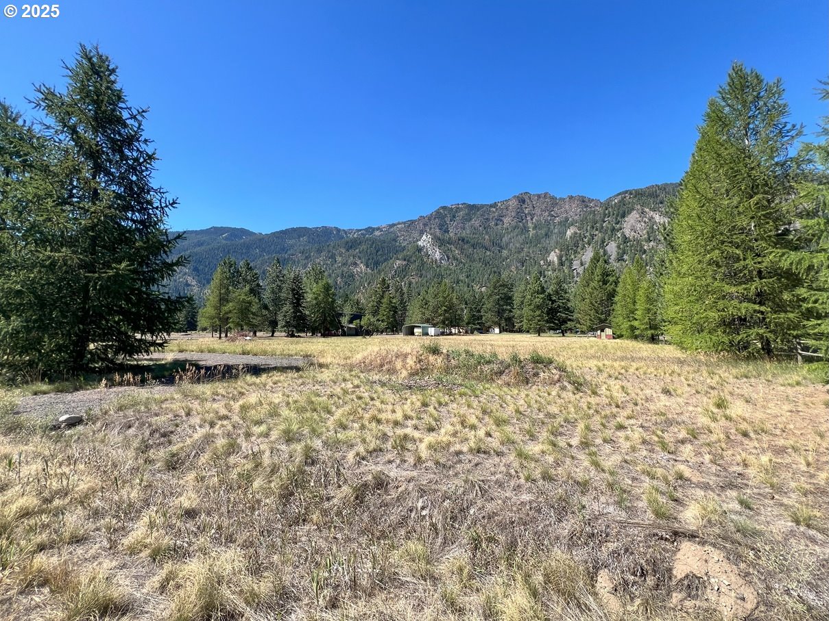 64838 Lostine River Road Lostine, OR 97857 - Photo 2 of 8 a view of mountain view with mountain view
